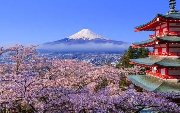日本留学