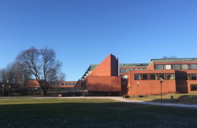 芬兰留学|真心建议带娃女性，都去芬兰留学