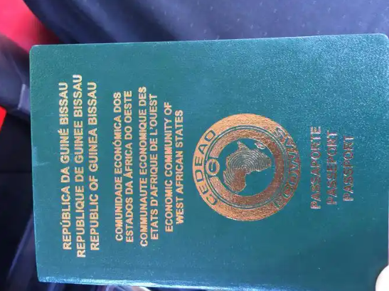 几内亚比绍护照办理费用大概会是多少，有具体数额吗？