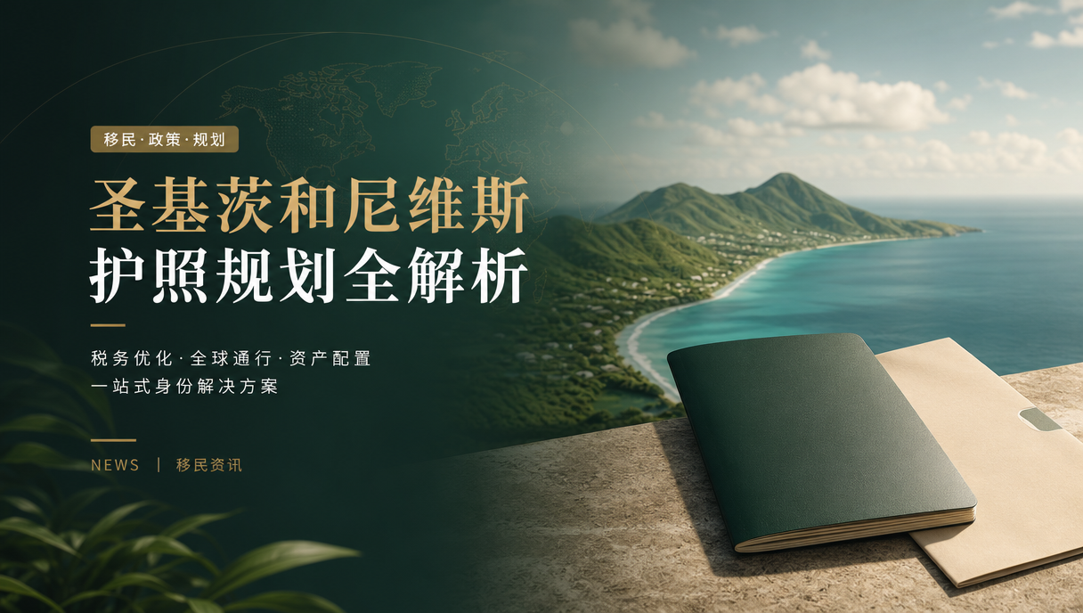 办理圣基茨护照为什么要选专业团队？费用、材料与服务案例解析